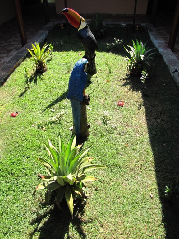 Hotel Fazenda Arara Azul Carolina  Extérieur photo